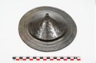 Foto von Bronzephalere (NHMW-PRAE-025079)
